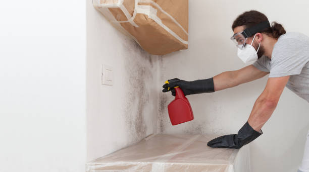 Professional Commercial Mold Remediation technician working in Aurora, MN